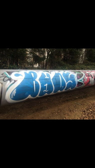 Graffiti Wall - Photo by CrackKlaus18 - Buds