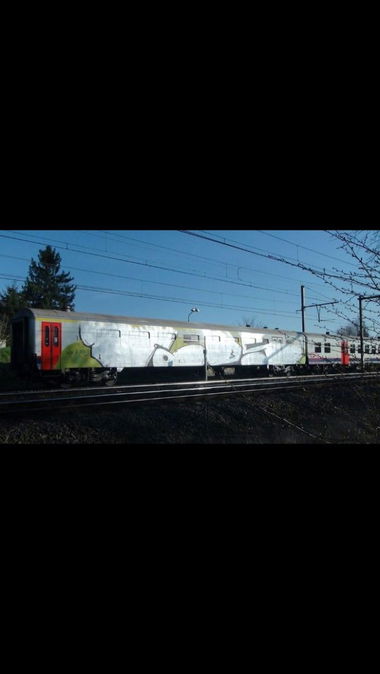 Graffiti Train - Photo by CrackKlaus18 - Tods
