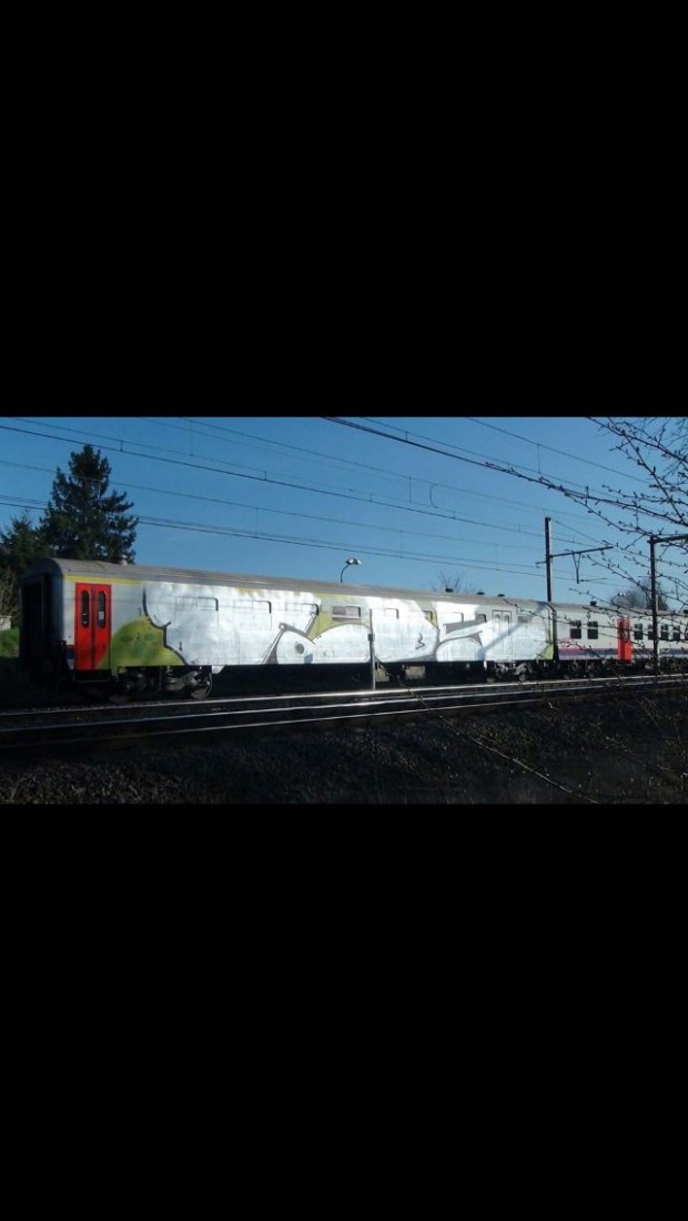 Graffiti Train - Photo by CrackKlaus18 - Tods