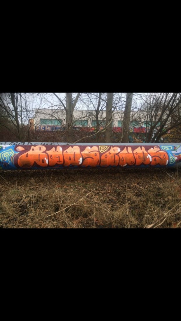 Graffiti Bombing in Rostock - Photo by CrackKlaus18 - Buds