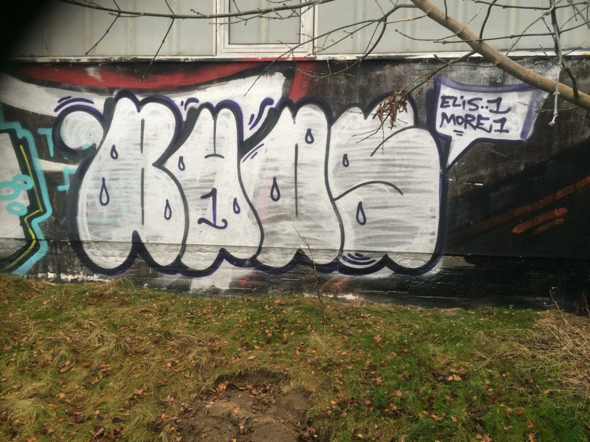 Graffiti Bombing - Photo by CrackKlaus18 - Buds, elis, more