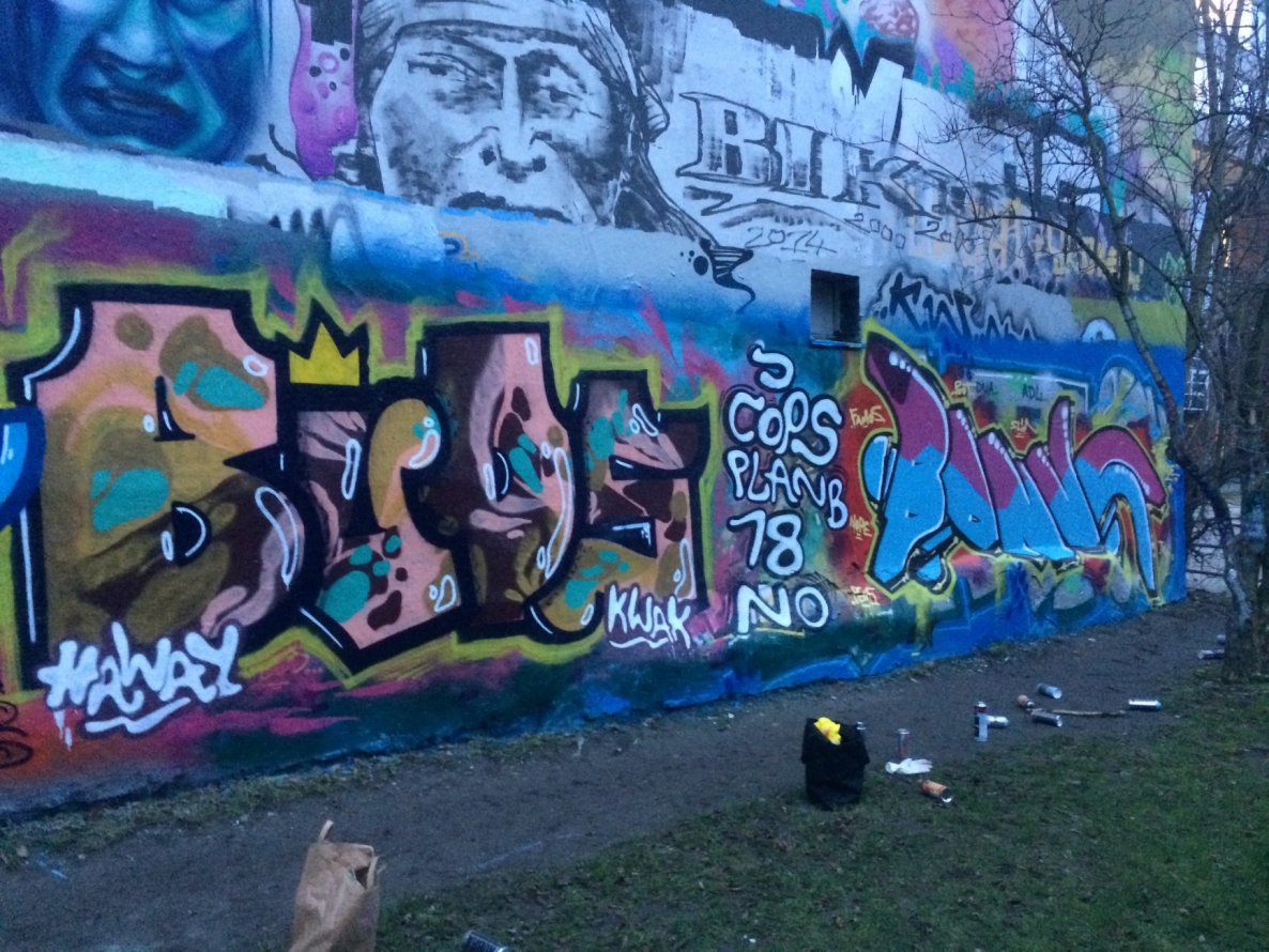 Graffiti Wall - Photo by CrackKlaus18 - Buds, Bonus, 18
