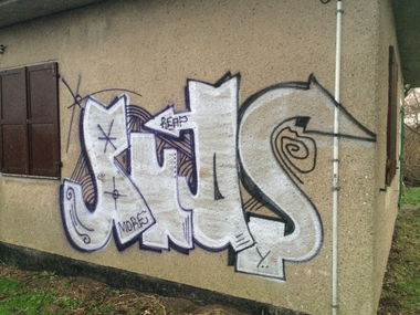 Graffiti Bombing - Photo by CrackKlaus18 - Buds, more, reap