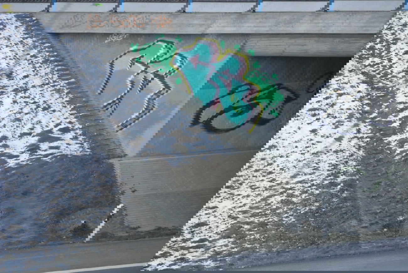 Graffiti Bombing in Brunswick - Photo by CriminalEnergy - CE, ISO, Braunschweig (2013)