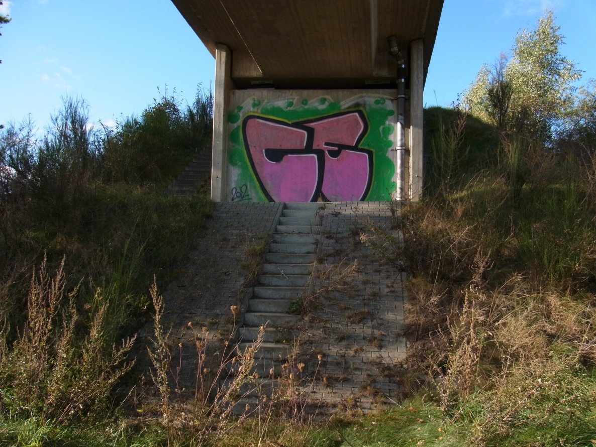 Graffiti Bombing in Hannover - Photo by CriminalEnergy - CE, Hannover (2012)