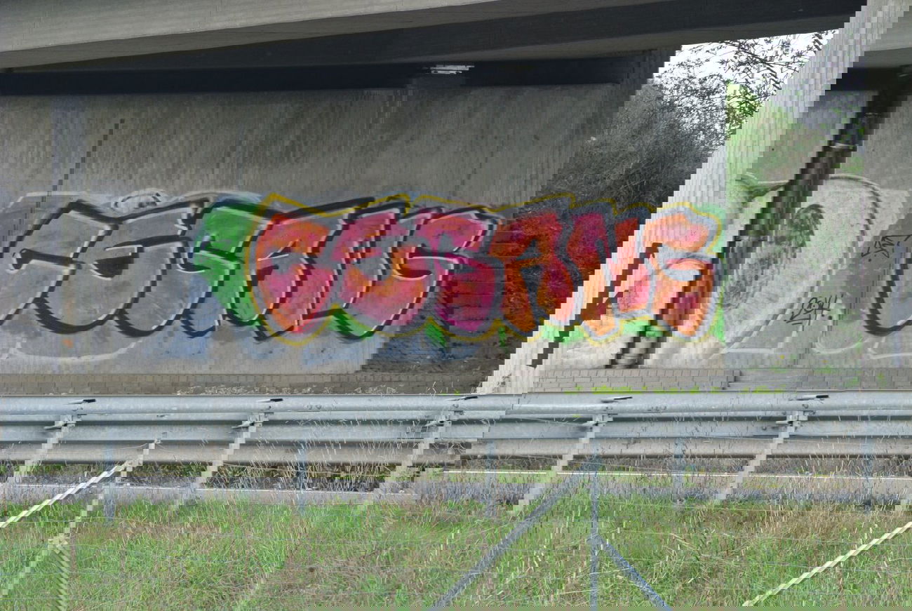 Graffiti Bombing in Hannover - Photo by CriminalEnergy - CE, CEGANG, Hannover (2014)