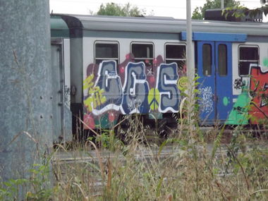 Graffiti Train in Brescia - Photo by CriminalEnergy - CE, Brescia, Color_Error (2016)