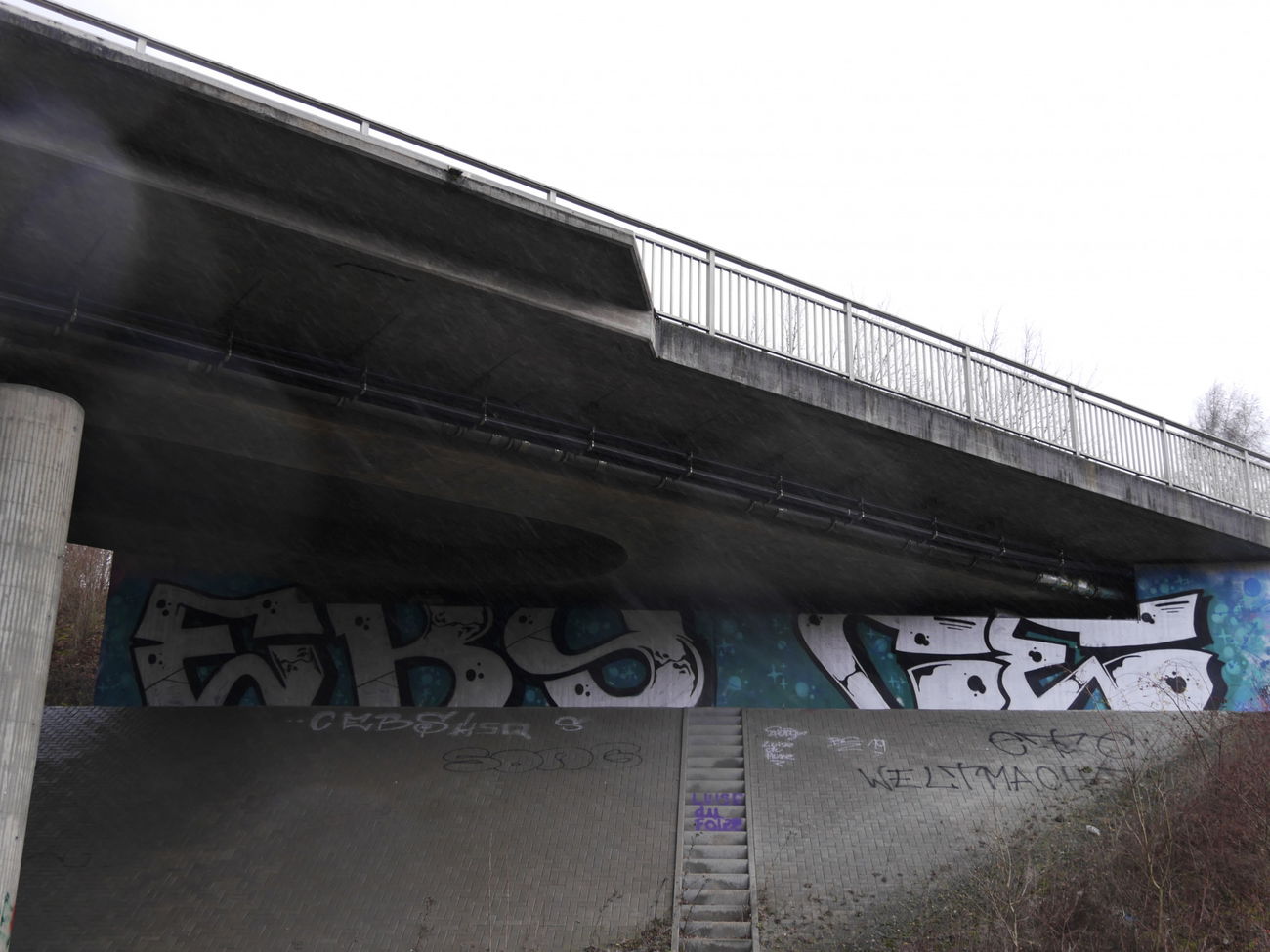 Graffiti Bombing - Photo by CriminalEnergy - EBS, CE, ColorError (2019)