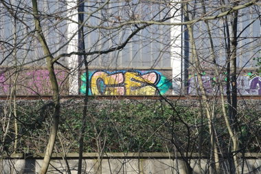 Graffiti in BRAUNSCHWEIG - Photo by CriminalEnergy - CE, BRAUNSCHWEIG (2016)