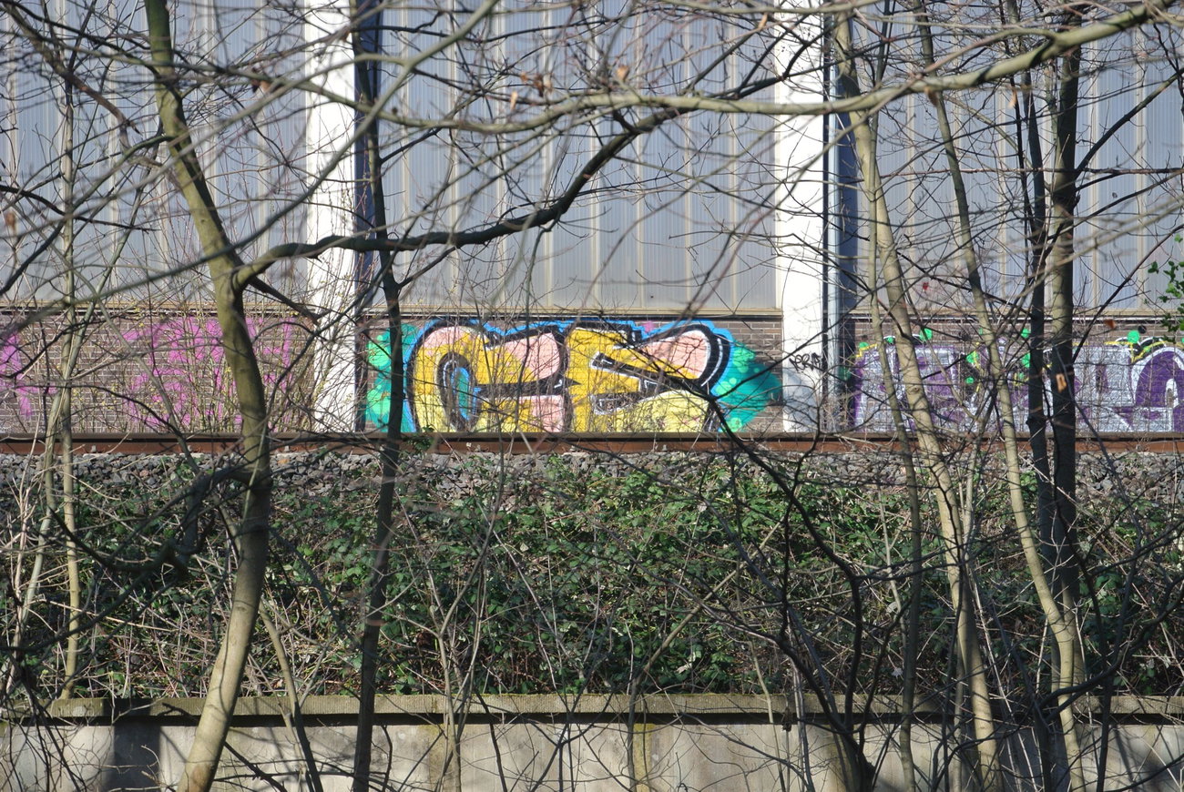 Graffiti in BRAUNSCHWEIG - Photo by CriminalEnergy - CE, BRAUNSCHWEIG (2016)