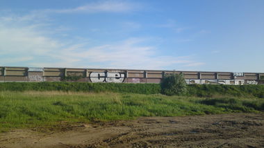 Graffiti Bombing - Photo by CriminalEnergy - CE, BRAUNSCHWEIG (2010)