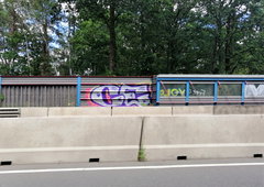 Graffiti Bombing - Photo by CriminalEnergy - CE, Gifhorn (2019)