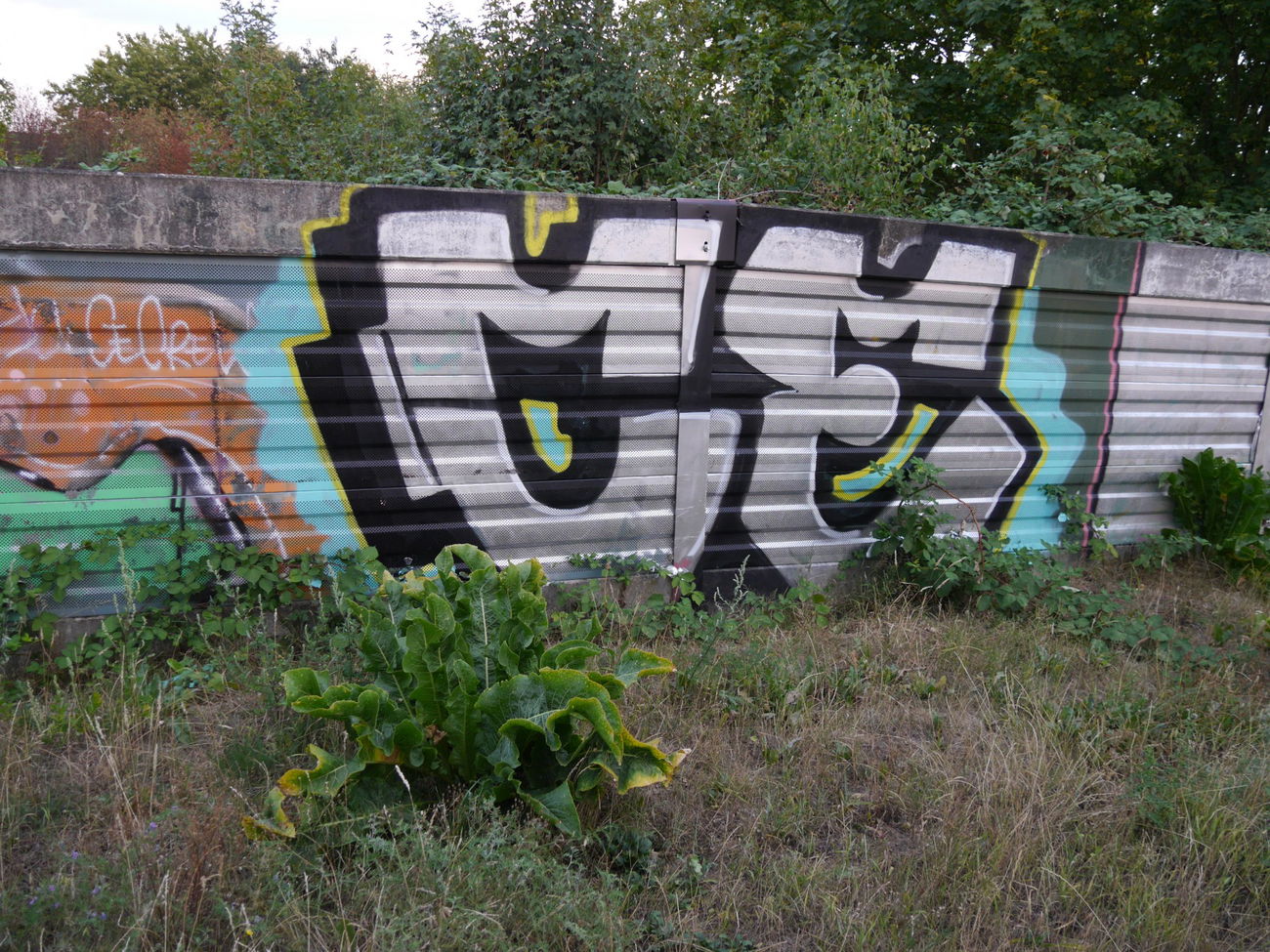 Graffiti Bombing in Braunschweig - Photo by CriminalEnergy - CE, Braunschweig (2018)