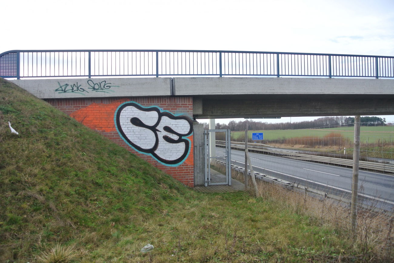 Graffiti Bombing - Photo by CriminalEnergy - CE, BRAUNSCHWEIG (2013)