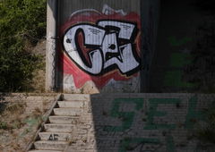 Graffiti Bombing - Photo by CriminalEnergy - CE, Gifhorn (2019)