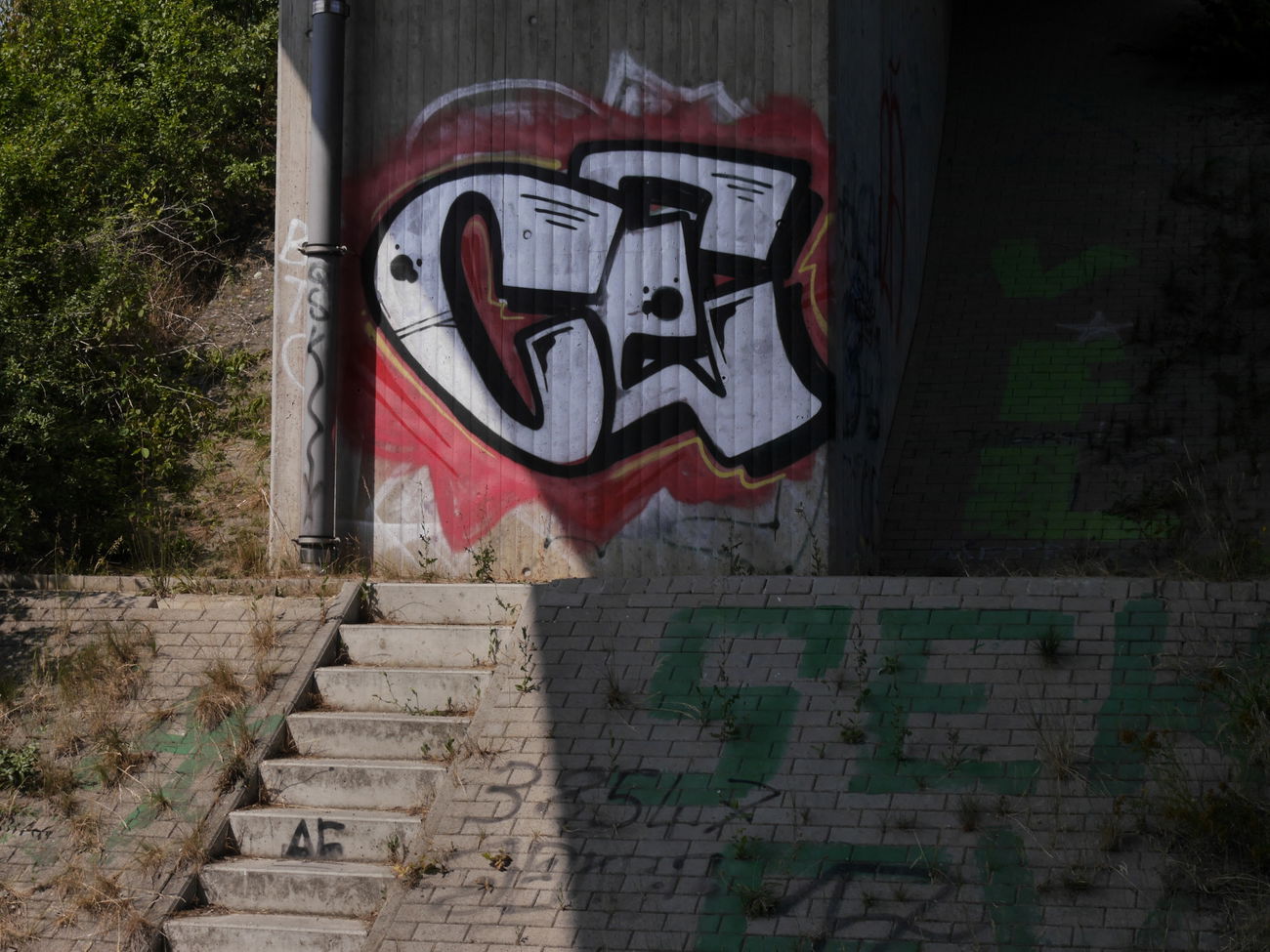Graffiti Bombing - Photo by CriminalEnergy - CE, Gifhorn (2019)
