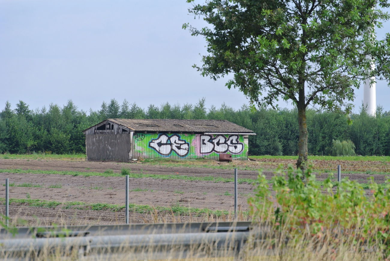 Graffiti Bombing - Photo by CriminalEnergy - CE, HANNOVER (2013)