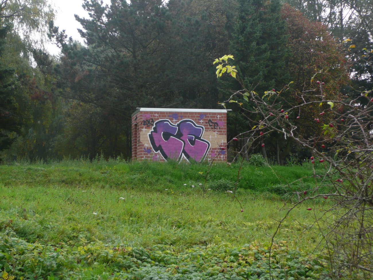 Graffiti in BRAUNSCHWEIG - Photo by CriminalEnergy - CE, Braunschweig (2013)