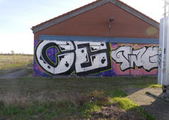 Graffiti Bombing in Wolfsburg - Photo by CriminalEnergy - CE, Wolfsburg (2018)