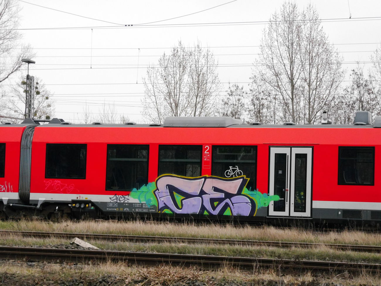 Graffiti Train in Braunschweig - Photo by CriminalEnergy - CE, Braunschweig, Color_Error (2017)