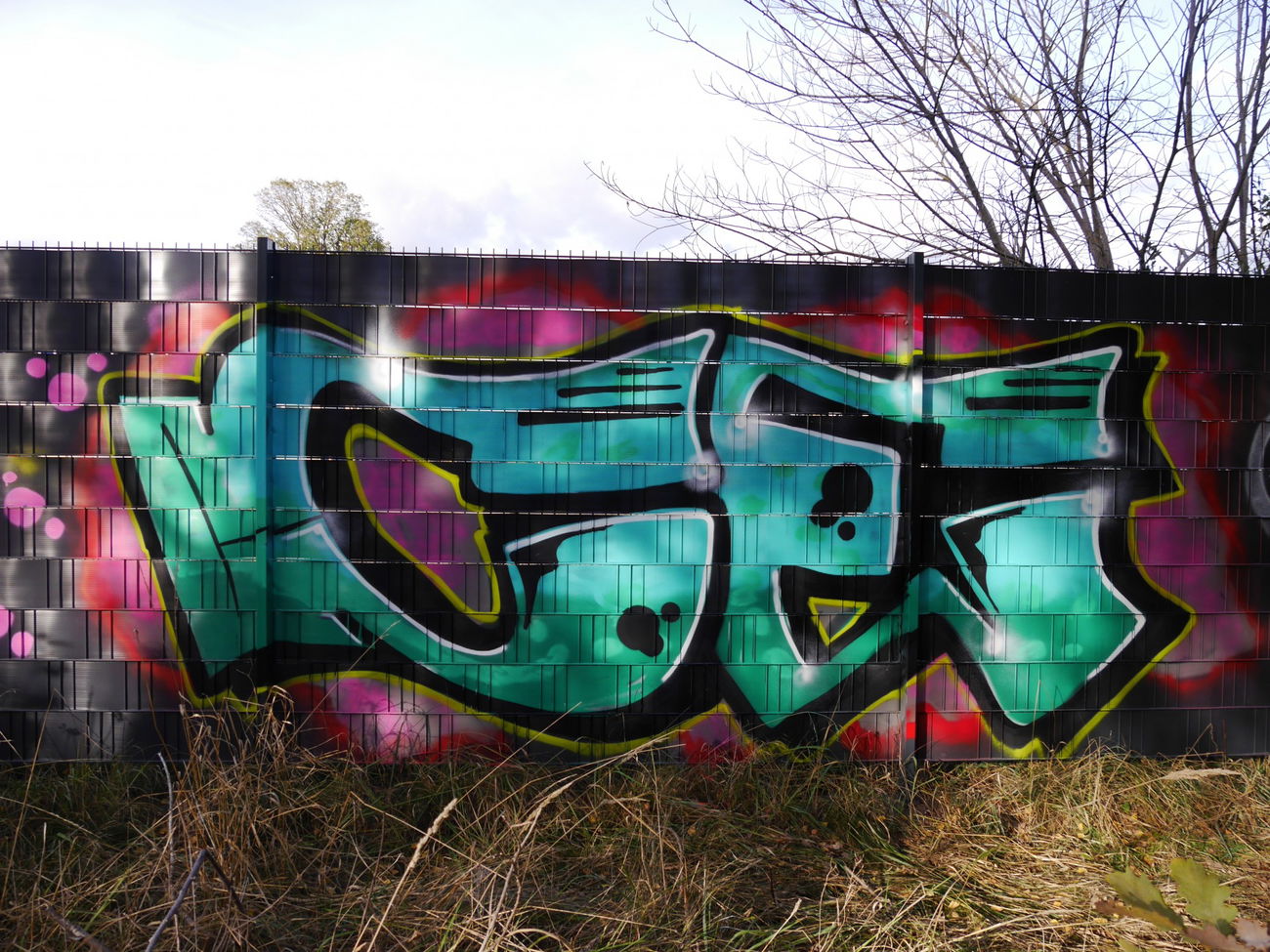 Graffiti Bombing in Braunschweig - Photo by CriminalEnergy - CE, Braunschweig (2018)