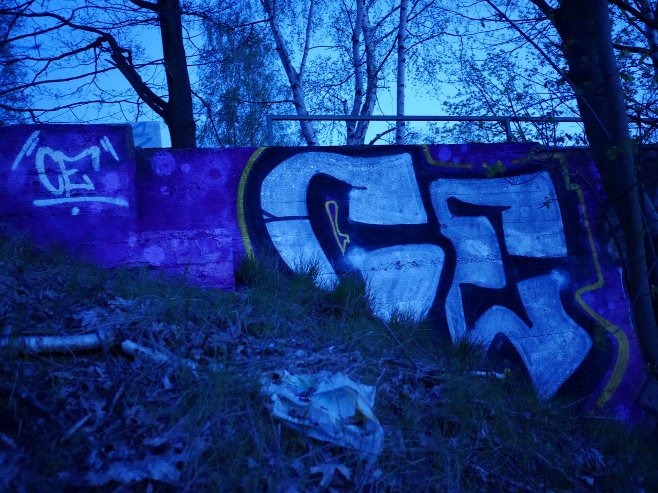 Graffiti Bombing in Braunschweig - Photo by CriminalEnergy - CE, Braunschweig (2018)