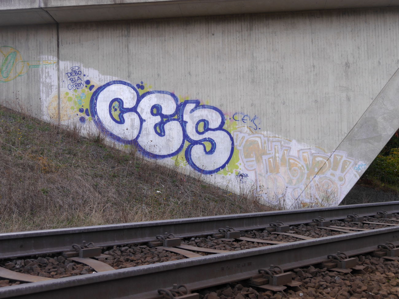 Graffiti Bombing - Photo by CriminalEnergy - CE'S, CE (2016)