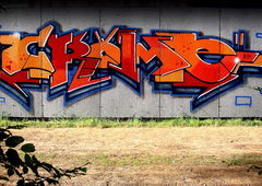 Photo #17625 by Belt