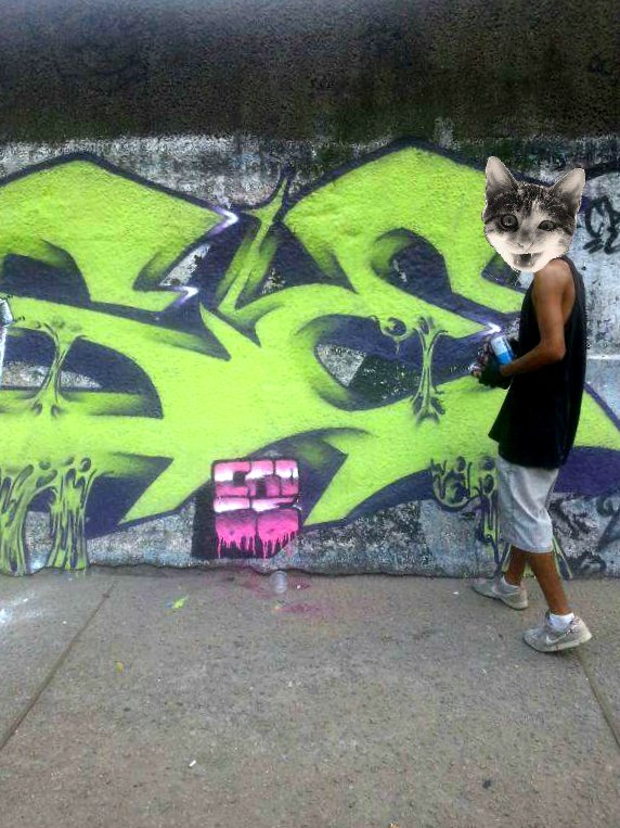 Graffiti Wall - Photo by Crose