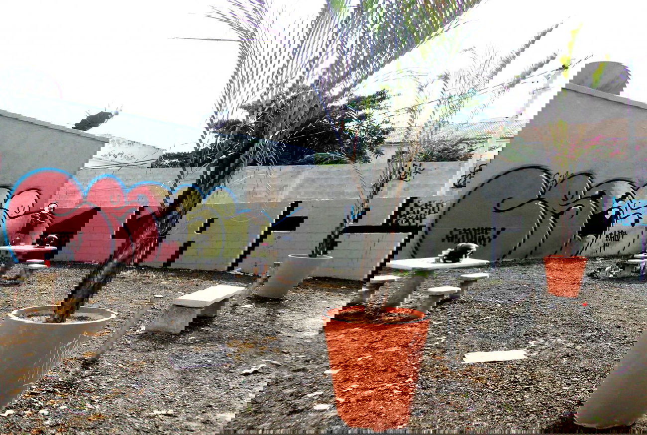 Graffiti Wall - Photo by Crose