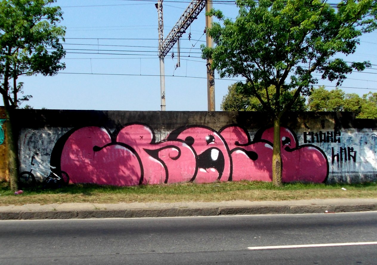 Graffiti Bombing - Photo by Crose