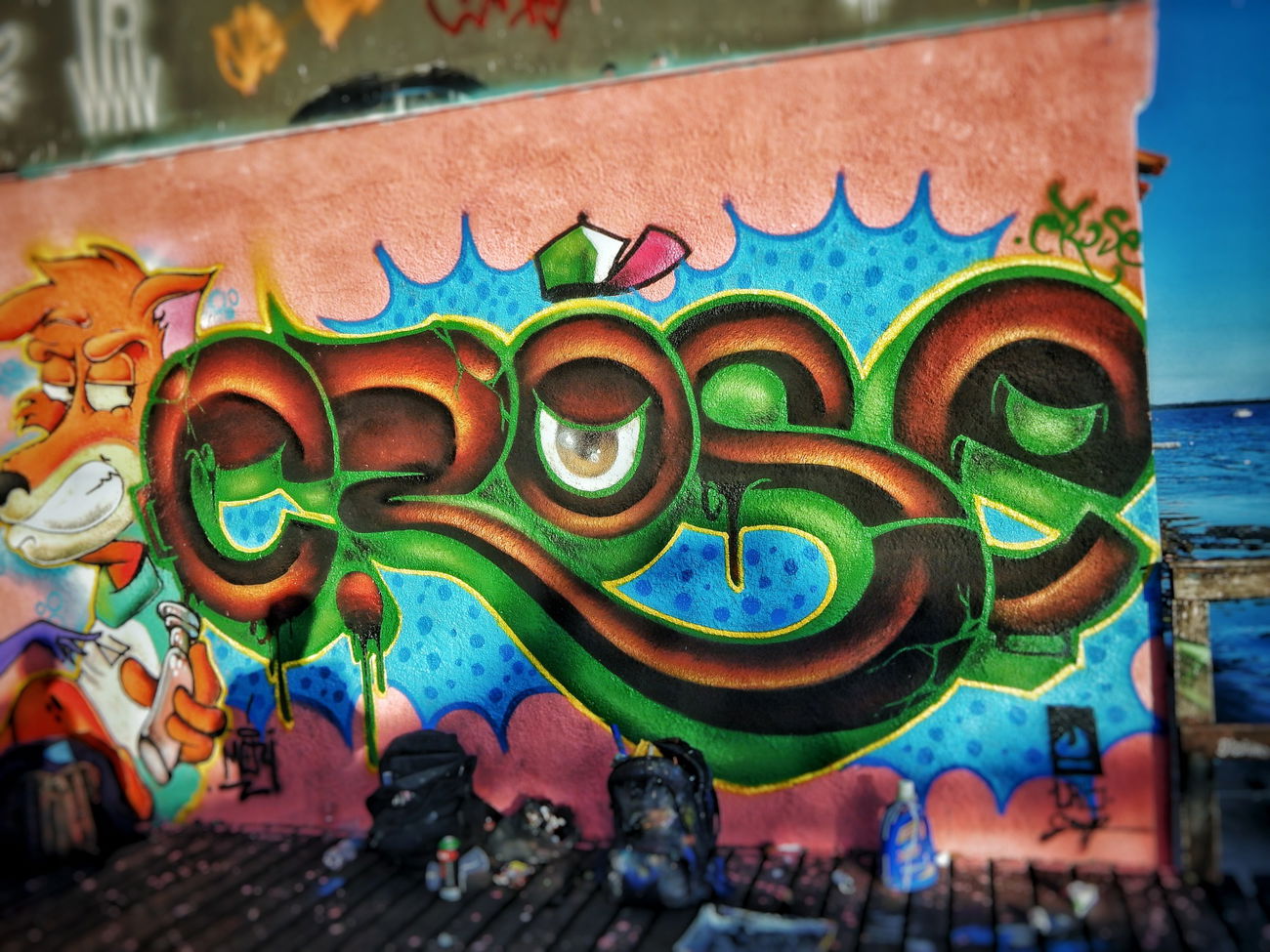 Graffiti Wall - Photo by Crose