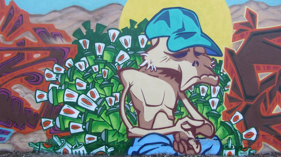 Graffiti Wall in Leverkusen - Photo by Cuba64 (2013)