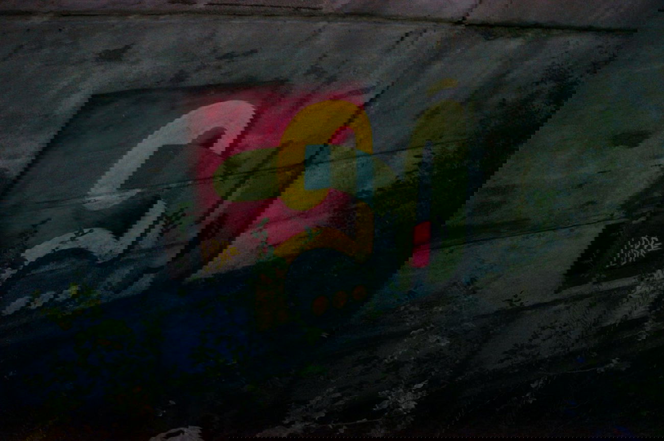 Graffiti Bombing - Photo by Curvalibre - Curva, libre, ocean (2014)