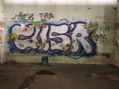 Graffiti Wall - Photo by Cuser - Cuser, TG, OTGN (2013)