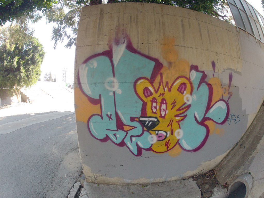 Graffiti Bombing - Photo by CyprusGraffiti