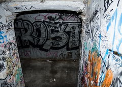 Photo #116429 by skroten