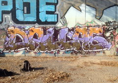 Photo #121050 by Congo
