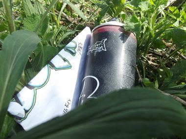 Graffiti Artwork - Photo by DARK