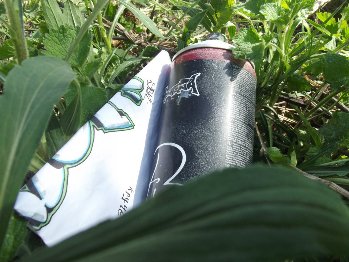 Graffiti Artwork - Photo by DARK