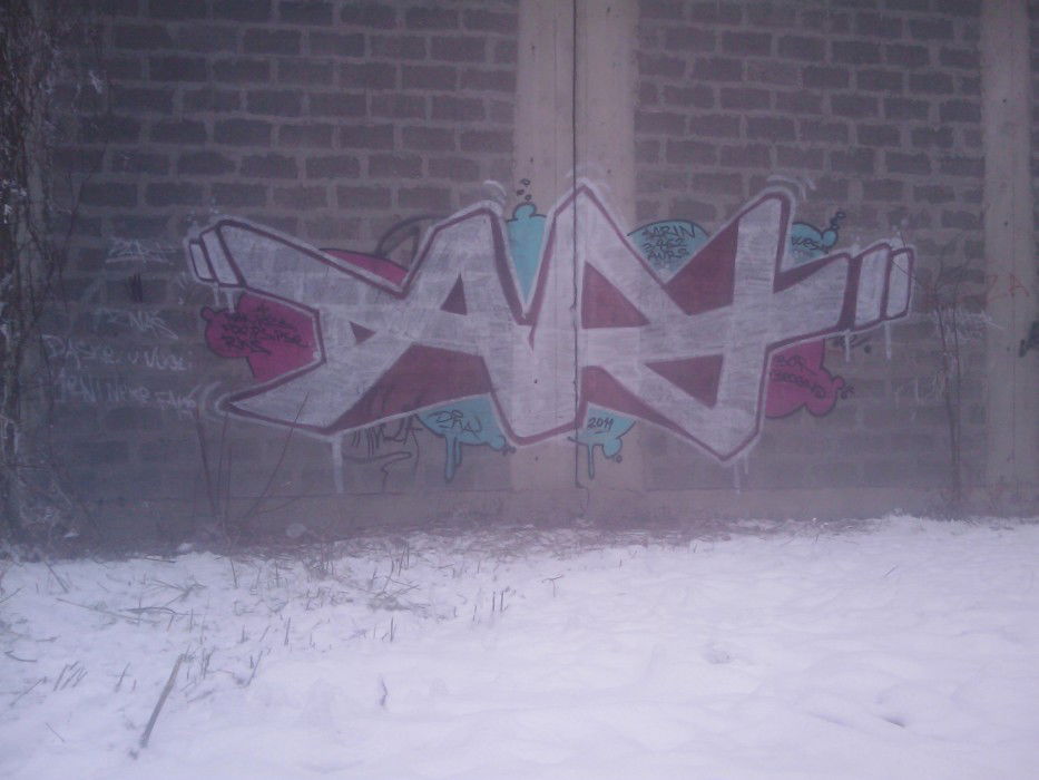 Graffiti Bombing in Belgrade - Photo by DART030 - dart, dna, kzs