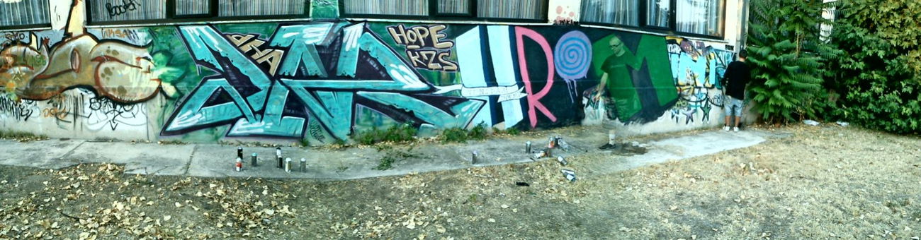 Graffiti Wall in Skopje - Photo by DART030 - dart, dna, kzs