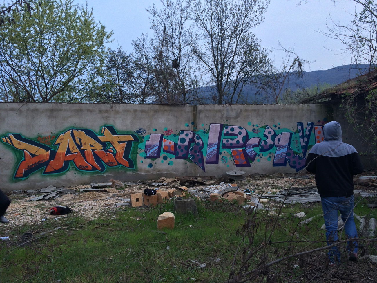 Graffiti Wall in Skopje - Photo by DART030 - dart, hrom, dna (2016)
