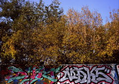 Photo #214383 by EshSulkz