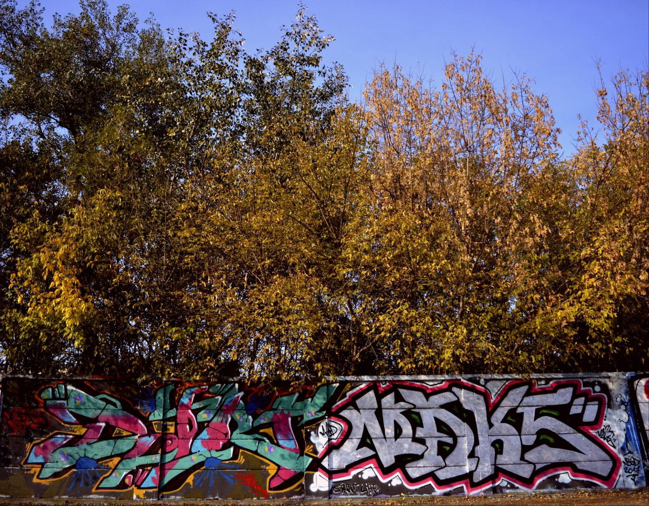 Graffiti Wall in Belgrade - Photo by DART030 - dart, maks, mad (2017)