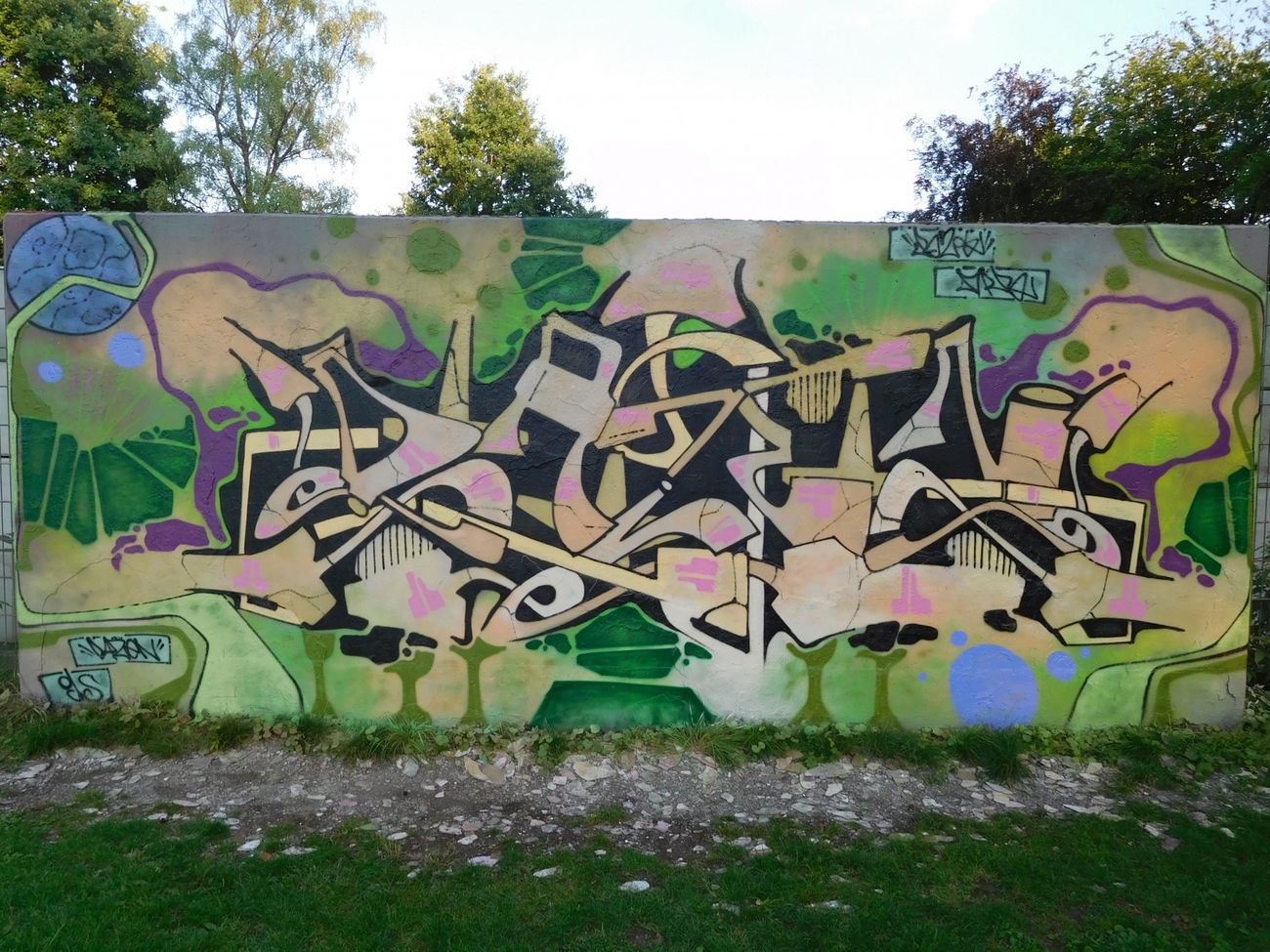 Graffiti Wall - Photo by DAZE95 - HallOfFame, Skatepark, DAZEN (2017)
