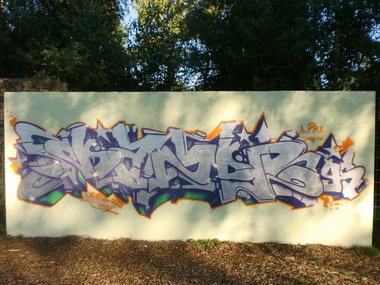 Graffiti Wall - Photo by DAZE95 - Emsdetten, Fame, Skaterpark (2012)