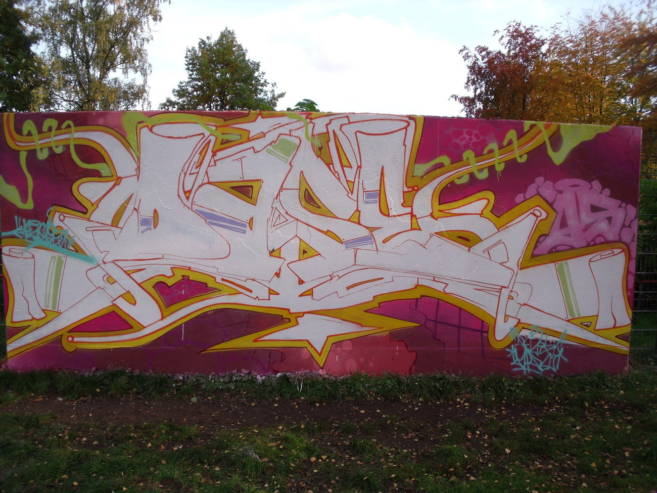 Graffiti Wall - Photo by DAZE95 - Emsdetten, Skaterpark, Fame (2015)