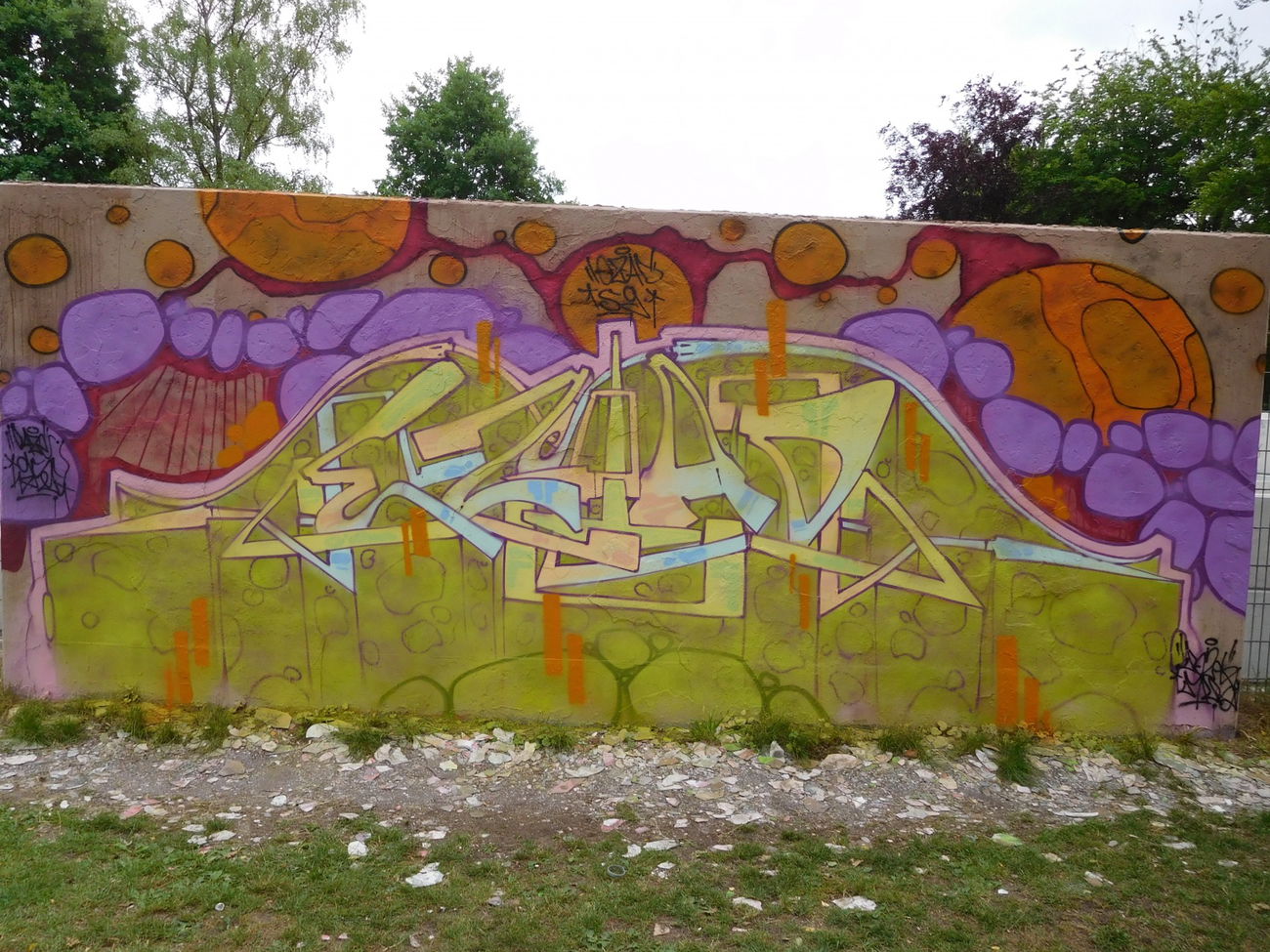 Graffiti Wall - Photo by DAZE95 - Emsdetten, Skatepark, Hall (2017)
