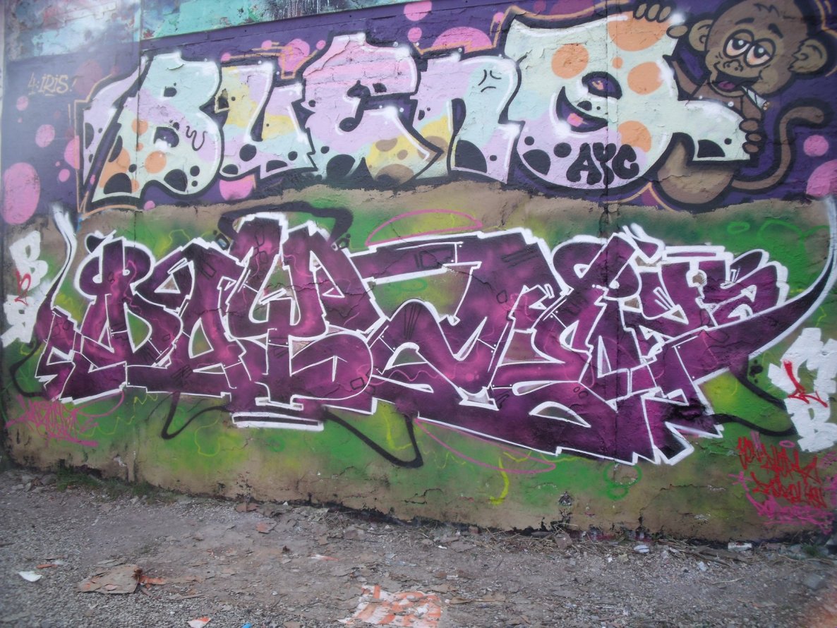 Graffiti Wall in Münster - Photo by DAZE95 - Münster, Fame, Hawerkamp (2015)